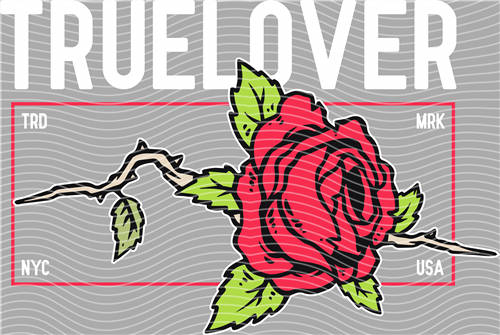 Best selling design-CX 2237